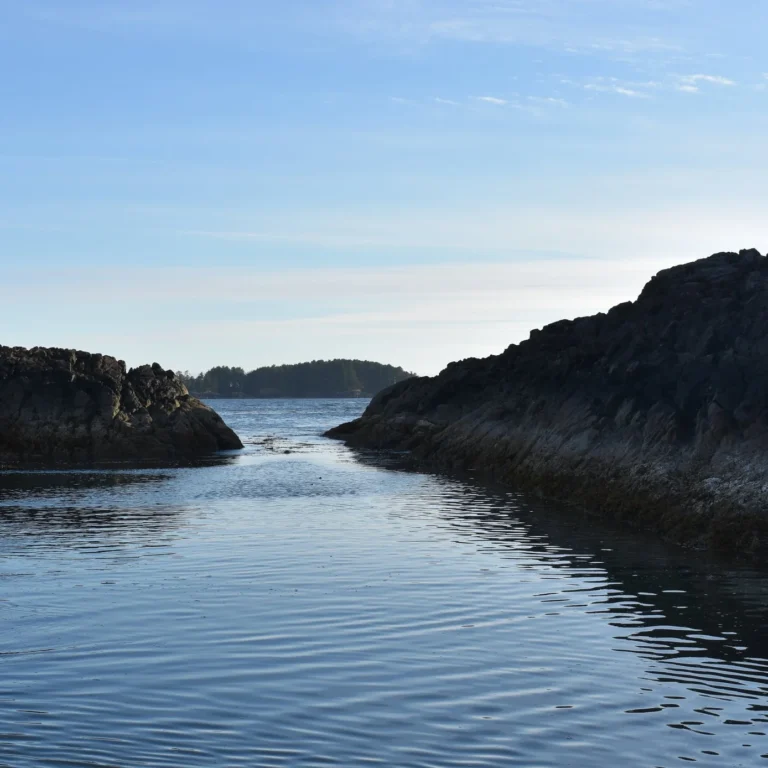 The Rebirth of the Sea Shanty