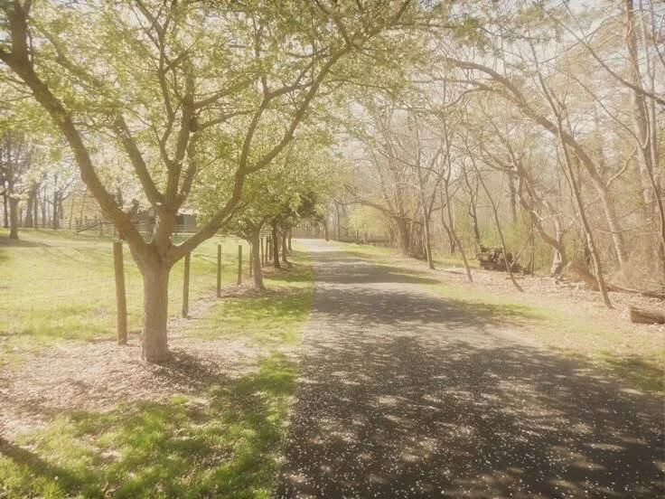 Playlist: spring solstice