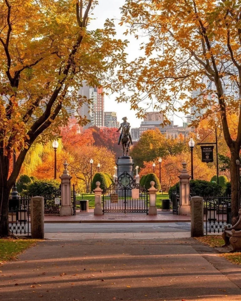 Playlist: fall but you’re in boston
