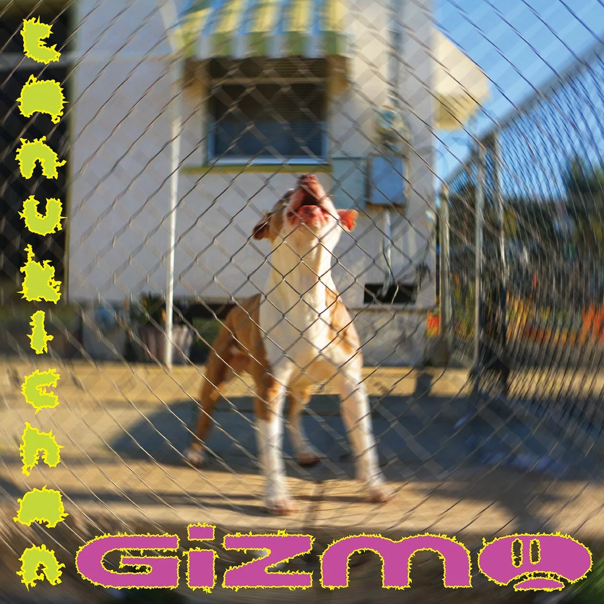  Album cover for  GIZMO  