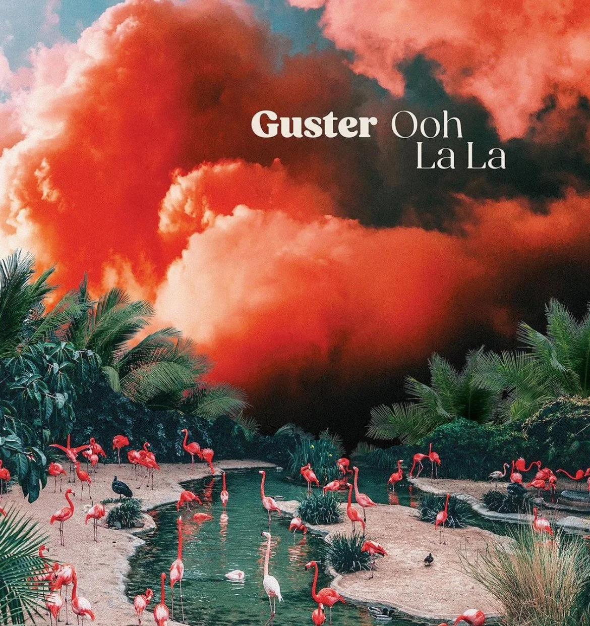   Album cover.  