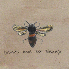  Album Cover for  Bruises and Bee Stings  