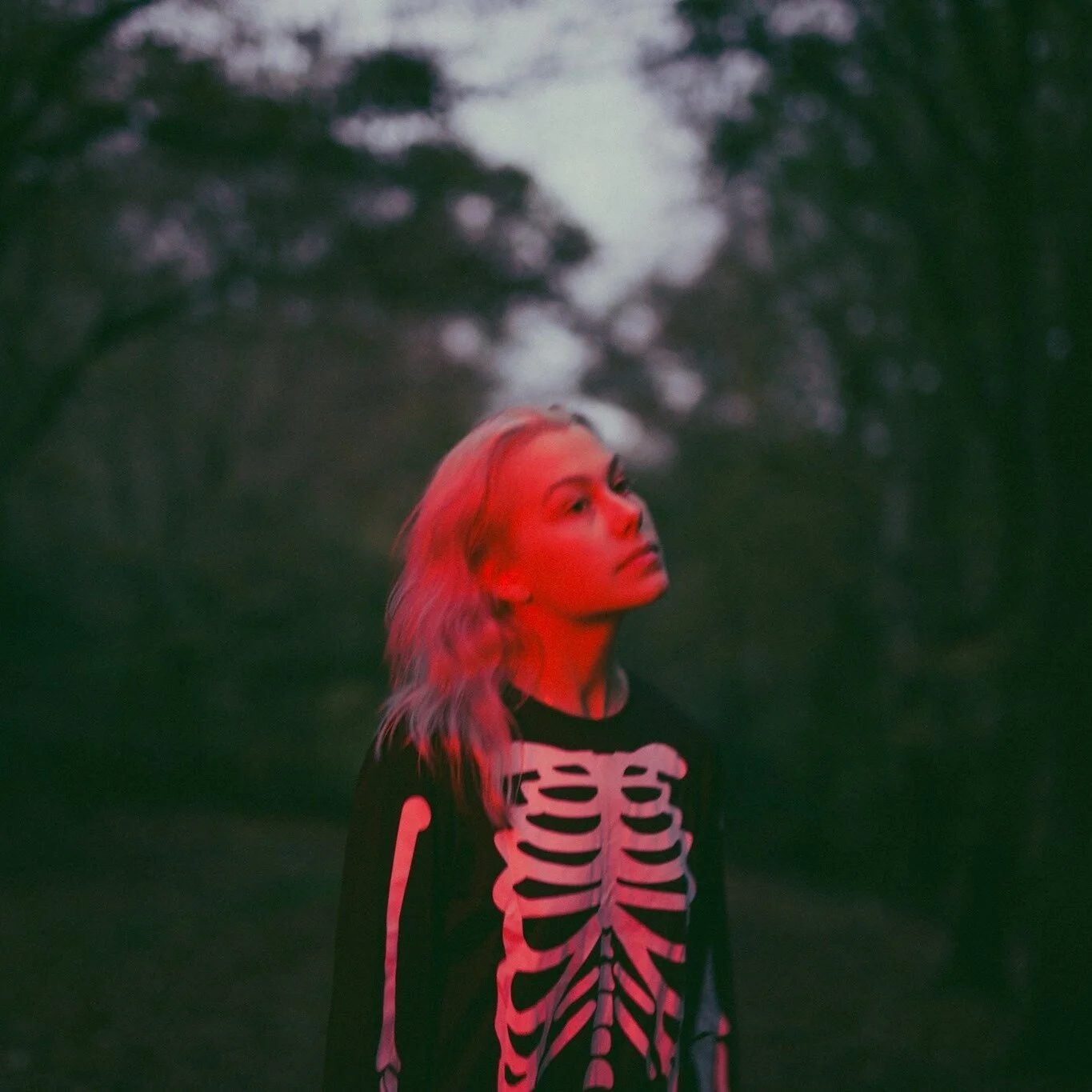  Photo courtesy of the Phoebe Bridgers Facebook page 